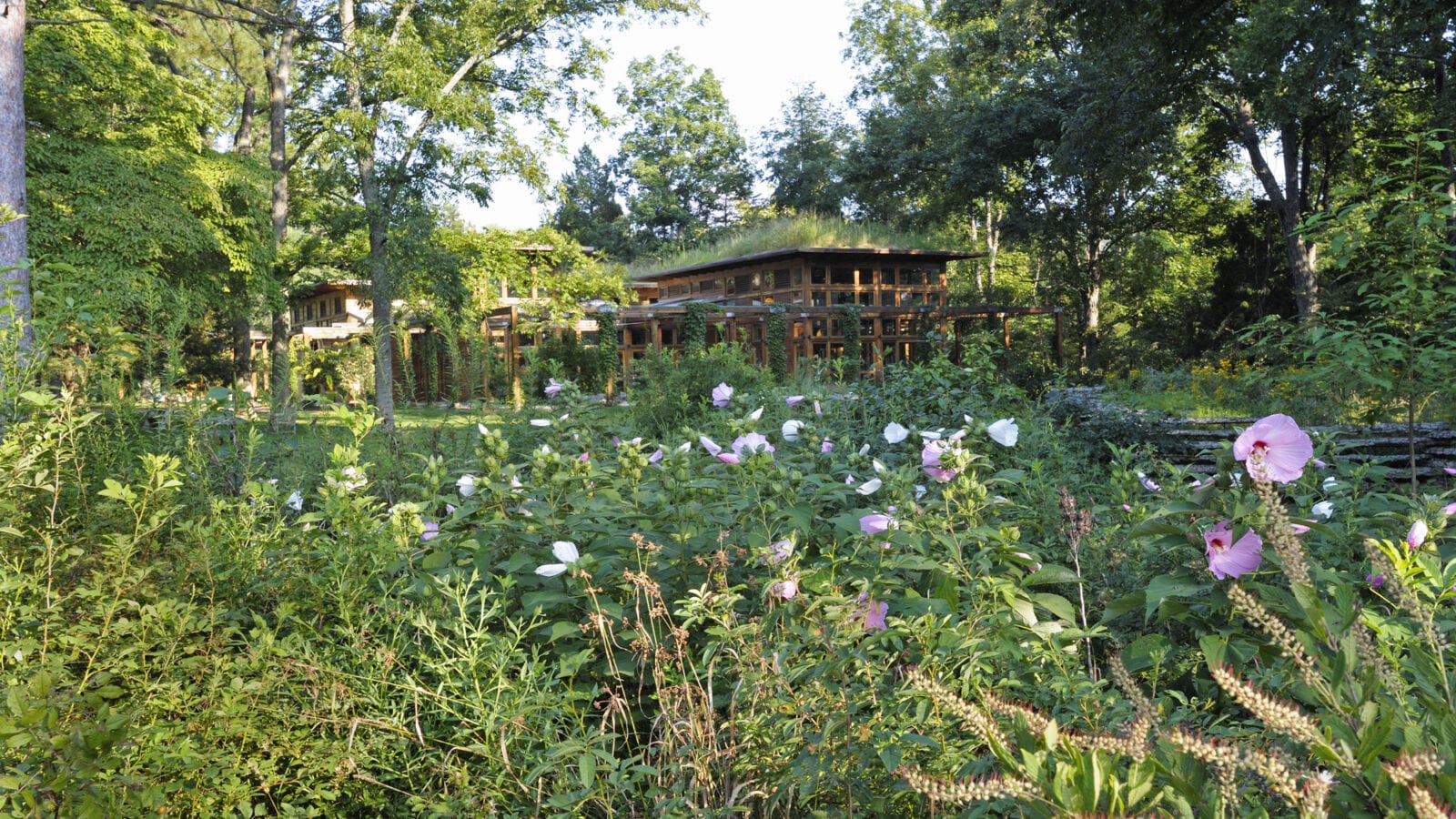 Visitor Center, Bernheim Arboretum and Research Forest William