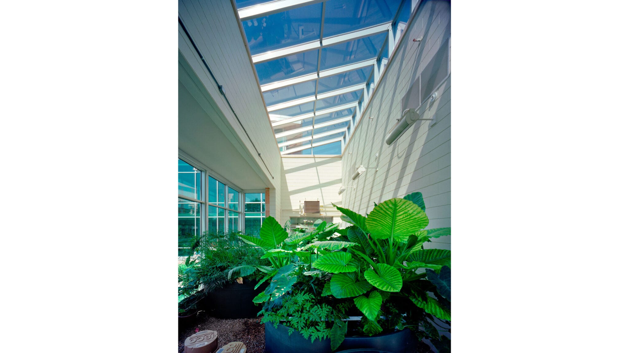 Adam Joseph Lewis Center for Environmental Studies, Oberlin College