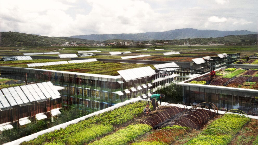 Concept for Rooftop Farming William McDonough + Partners